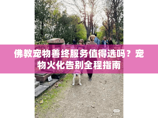 佛教宠物善终服务值得选吗？宠物火化告别全程指南