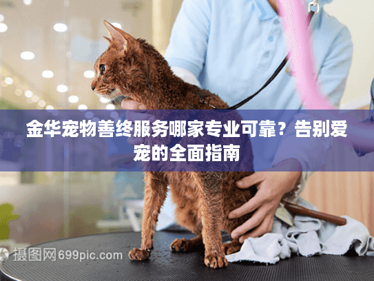 金华宠物善终服务哪家专业可靠？告别爱宠的全面指南