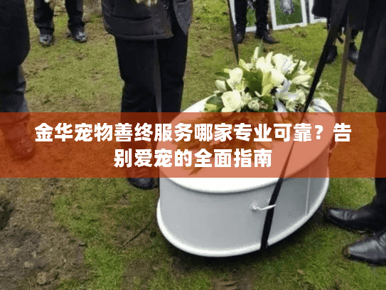 金华宠物善终服务哪家专业可靠？告别爱宠的全面指南