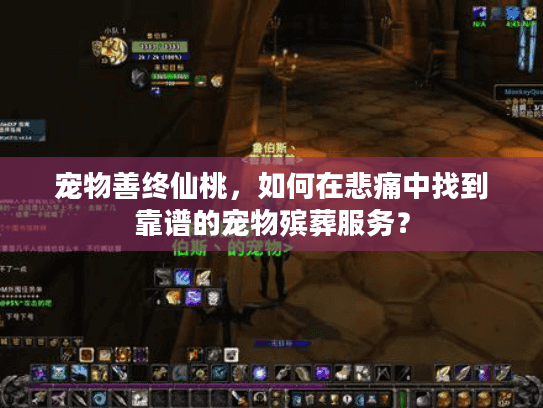 宠物善终仙桃，如何在悲痛中找到靠谱的宠物殡葬服务？