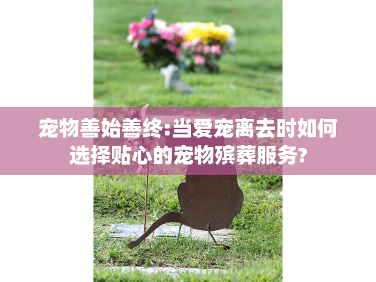 宠物善始善终:当爱宠离去时如何选择贴心的宠物殡葬服务?