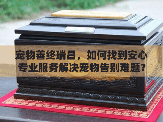 宠物善终瑞昌，如何找到安心专业服务解决宠物告别难题？