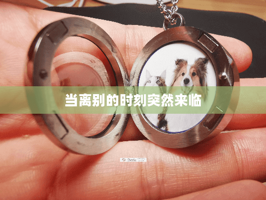 当离别的时刻突然来临