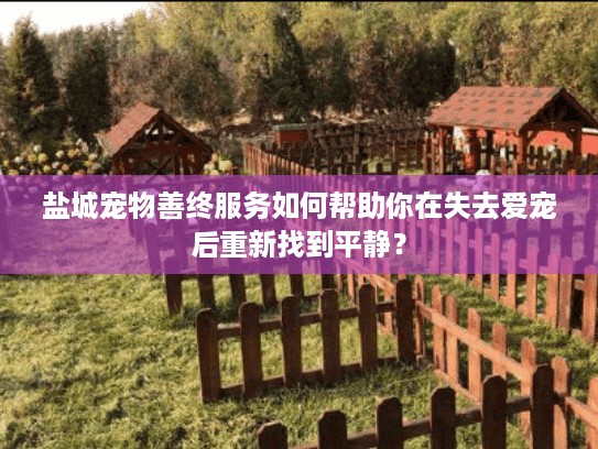 盐城宠物善终服务如何帮助你在失去爱宠后重新找到平静？