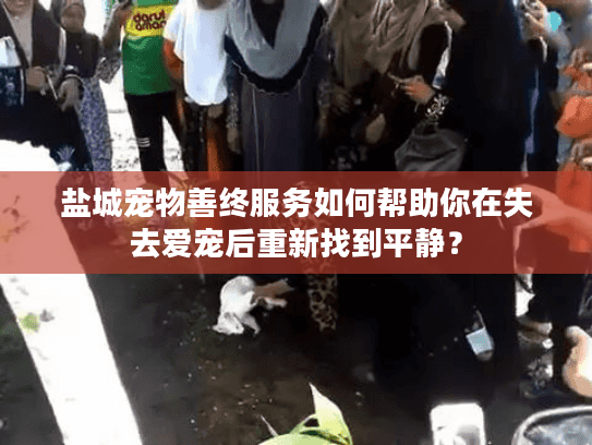 盐城宠物善终服务如何帮助你在失去爱宠后重新找到平静？