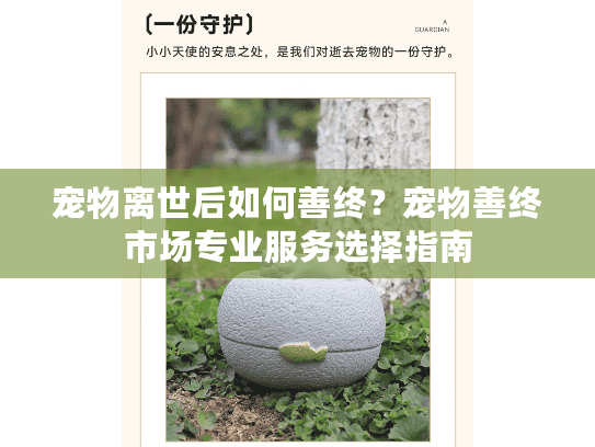 宠物离世后如何善终？宠物善终市场专业服务选择指南