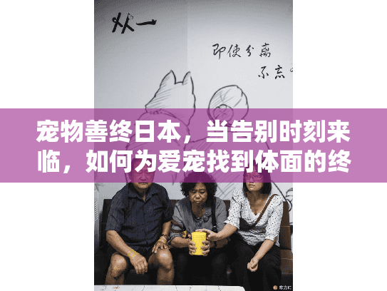 宠物善终日本，当告别时刻来临，如何为爱宠找到体面的终点站