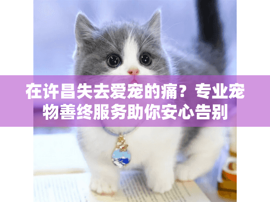 在许昌失去爱宠的痛？专业宠物善终服务助你安心告别