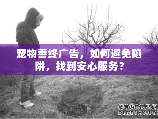 宠物善终广告，如何避免陷阱，找到安心服务？