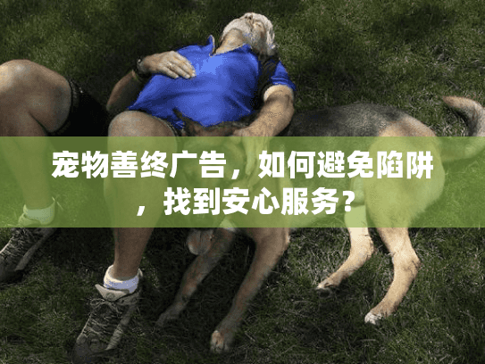 宠物善终广告，如何避免陷阱，找到安心服务？