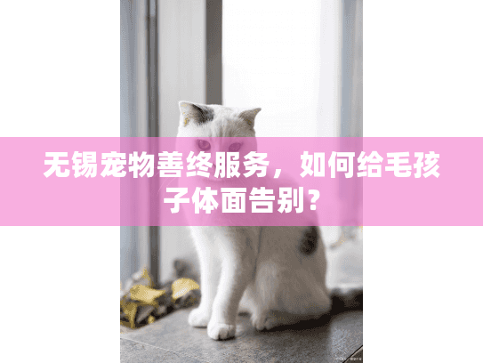 无锡宠物善终服务，如何给毛孩子体面告别？
