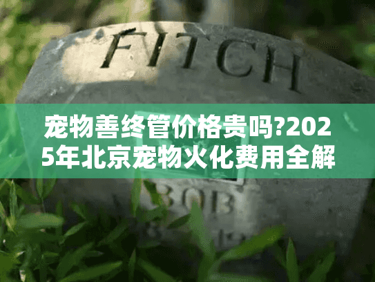 宠物善终管价格贵吗?2025年北京宠物火化费用全解析
