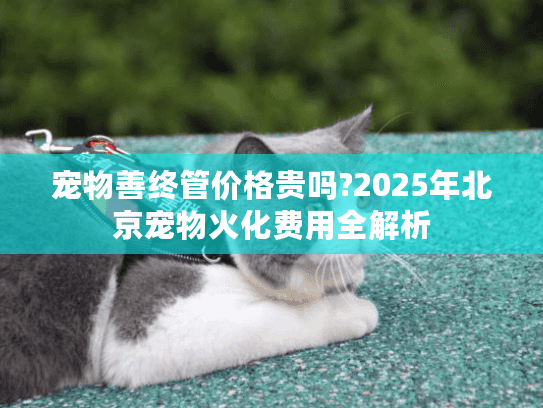 宠物善终管价格贵吗?2025年北京宠物火化费用全解析