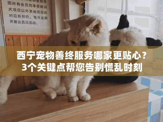 西宁宠物善终服务哪家更贴心？3个关键点帮您告别慌乱时刻