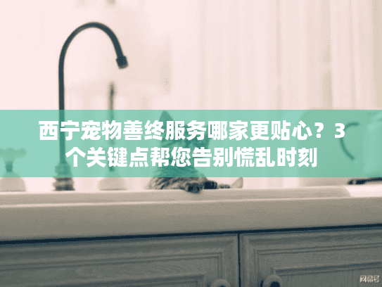 西宁宠物善终服务哪家更贴心？3个关键点帮您告别慌乱时刻