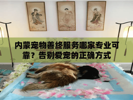 内蒙宠物善终服务哪家专业可靠？告别爱宠的正确方式