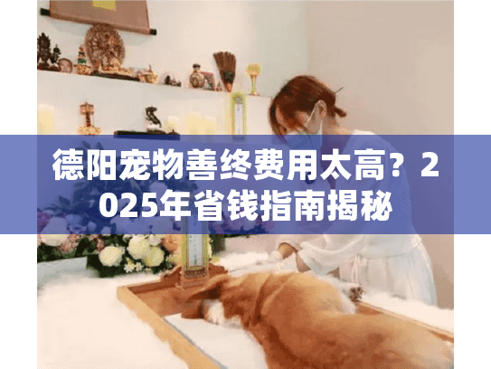 德阳宠物善终费用太高？2025年省钱指南揭秘