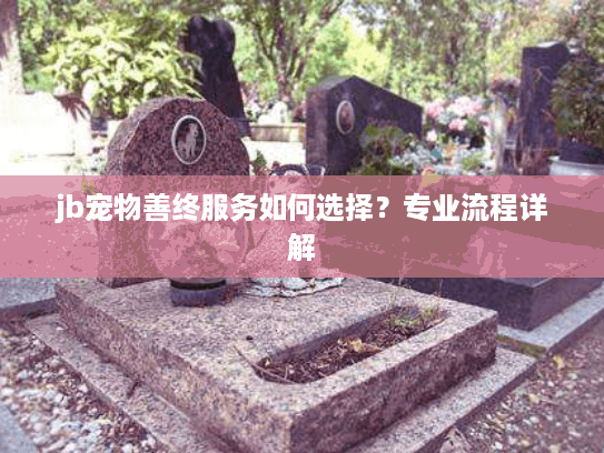 jb宠物善终服务如何选择？专业流程详解