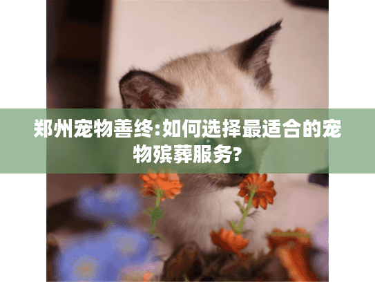 郑州宠物善终:如何选择最适合的宠物殡葬服务?