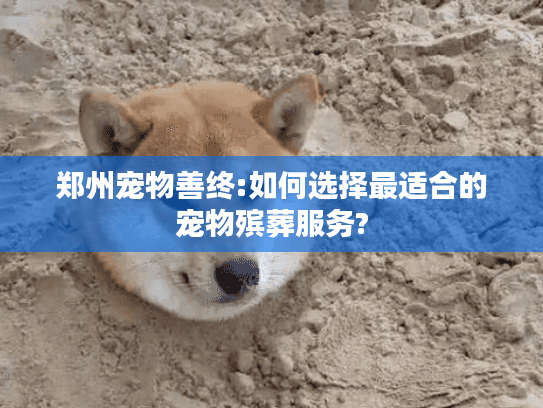 郑州宠物善终:如何选择最适合的宠物殡葬服务?