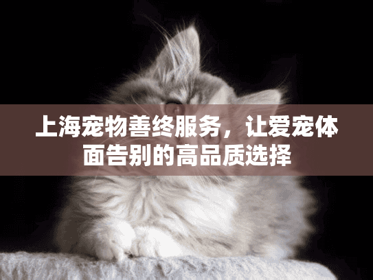 上海宠物善终服务，让爱宠体面告别的高品质选择