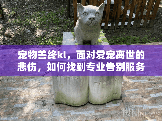 宠物善终kl，面对爱宠离世的悲伤，如何找到专业告别服务？