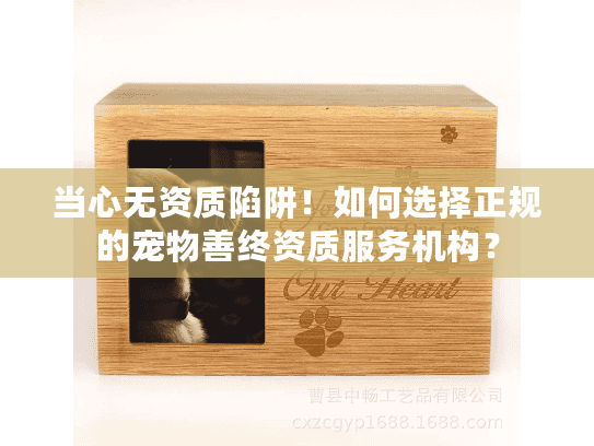 当心无资质陷阱！如何选择正规的宠物善终资质服务机构？