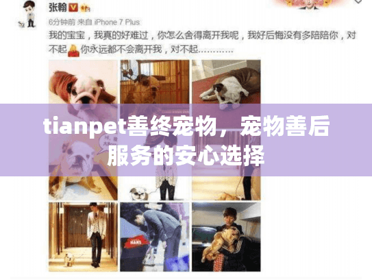 tianpet善终宠物，宠物善后服务的安心选择