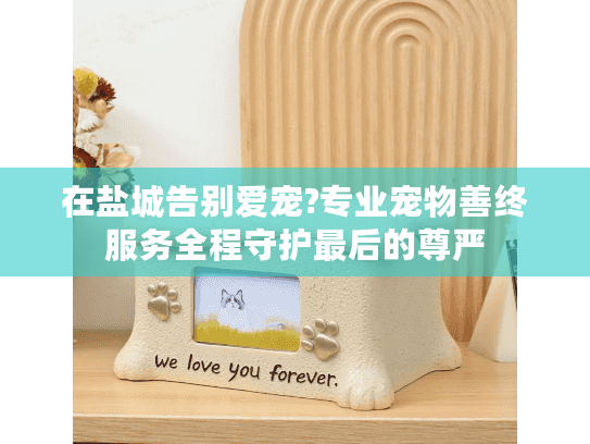 在盐城告别爱宠?专业宠物善终服务全程守护最后的尊严