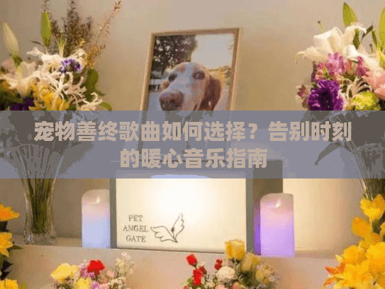 宠物善终歌曲如何选择？告别时刻的暖心音乐指南