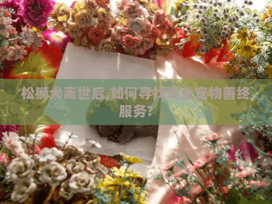 松狮犬离世后,如何寻找专业宠物善终服务?