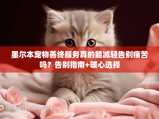 墨尔本宠物善终服务真的能减轻告别痛苦吗？告别指南+暖心选择