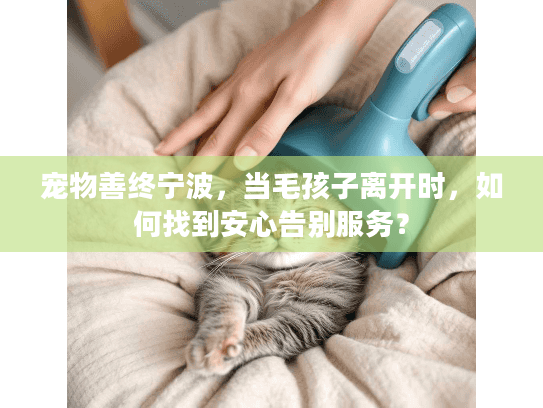 宠物善终宁波，当毛孩子离开时，如何找到安心告别服务？