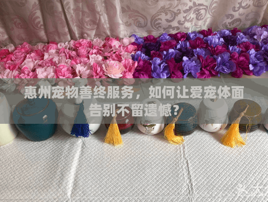 惠州宠物善终服务，如何让爱宠体面告别不留遗憾？