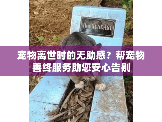 宠物离世时的无助感？帮宠物善终服务助您安心告别