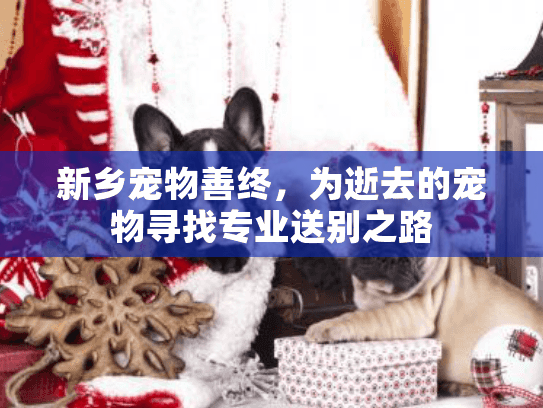 新乡宠物善终，为逝去的宠物寻找专业送别之路
