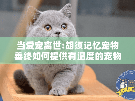当爱宠离世:胡须记忆宠物善终如何提供有温度的宠物殡葬服务?