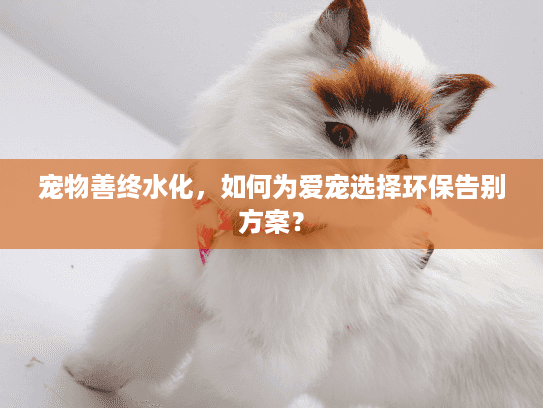 宠物善终水化，如何为爱宠选择环保告别方案？