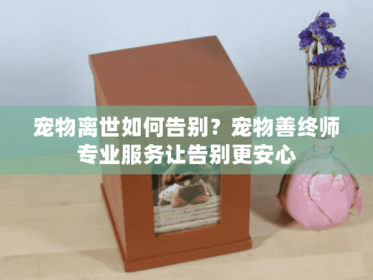 宠物离世如何告别？宠物善终师专业服务让告别更安心