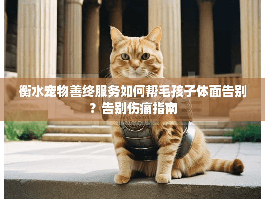 衡水宠物善终服务如何帮毛孩子体面告别？告别伤痛指南