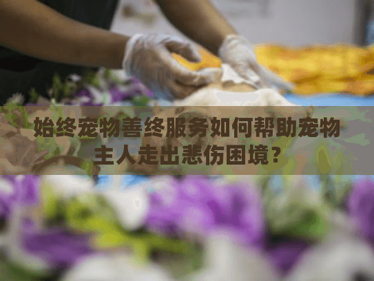 始终宠物善终服务如何帮助宠物主人走出悲伤困境？