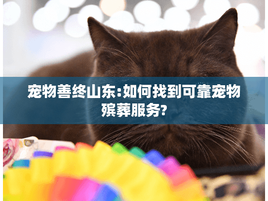 宠物善终山东:如何找到可靠宠物殡葬服务?