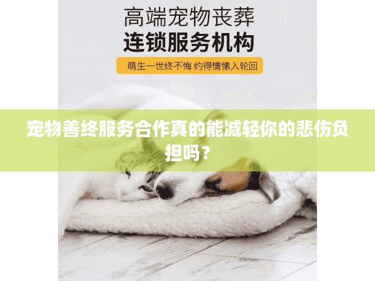 宠物善终服务合作真的能减轻你的悲伤负担吗？
