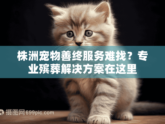 株洲宠物善终服务难找？专业殡葬解决方案在这里