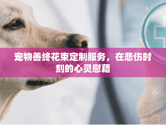 宠物善终花束定制服务，在悲伤时刻的心灵慰藉