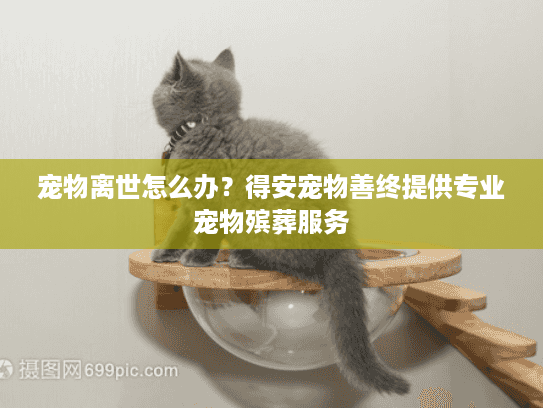 宠物离世怎么办？得安宠物善终提供专业宠物殡葬服务
