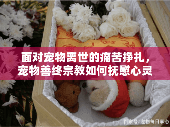 面对宠物离世的痛苦挣扎，宠物善终宗教如何抚慰心灵伤痕？