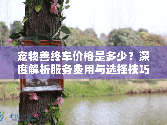 宠物善终车价格是多少？深度解析服务费用与选择技巧