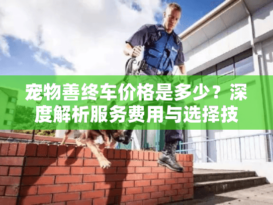 宠物善终车价格是多少？深度解析服务费用与选择技巧