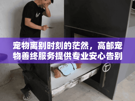 宠物离别时刻的茫然，高邮宠物善终服务提供专业安心告别